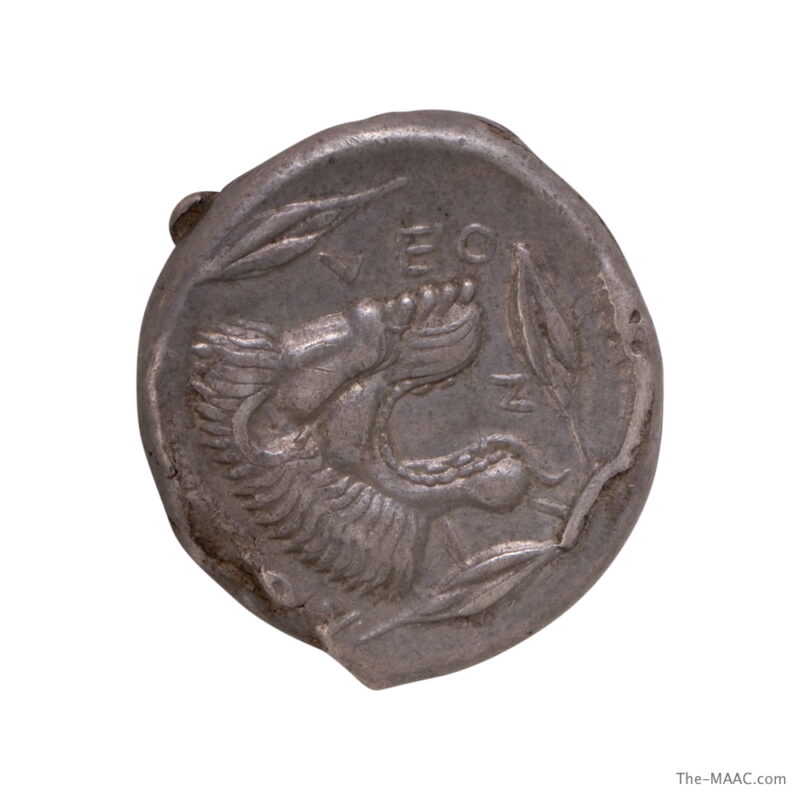 Sicily, Leontini Coin - Image 2