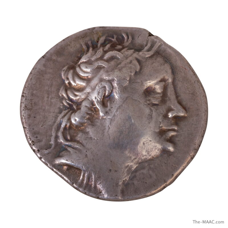 King of Bithynia, Nikomedes III Coin