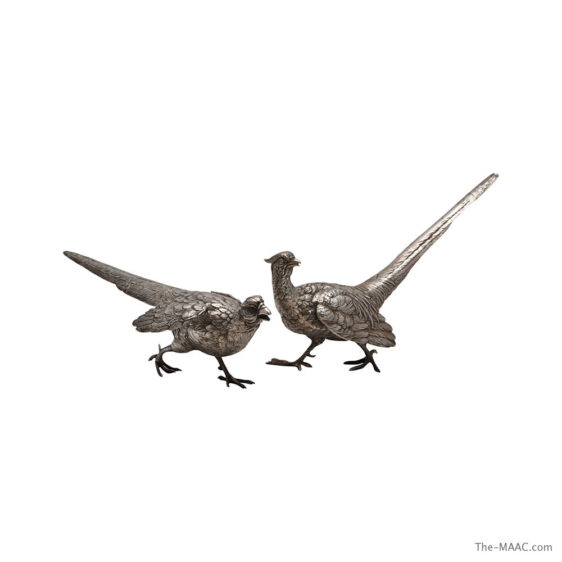 Pair of Silver Pheasants