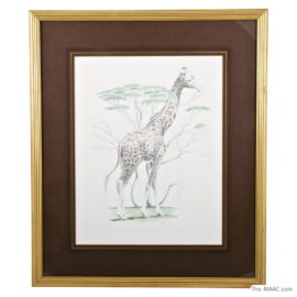 An early 20th century pencil and watercolor drawing of a giraffe. Height: 13" Width: 11" without the frame.
