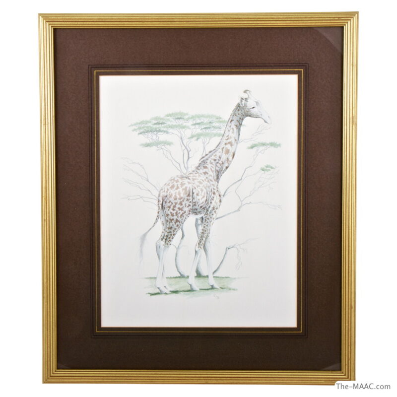 An early 20th century pencil and watercolor drawing of a giraffe. Height: 13" Width: 11" without the frame.