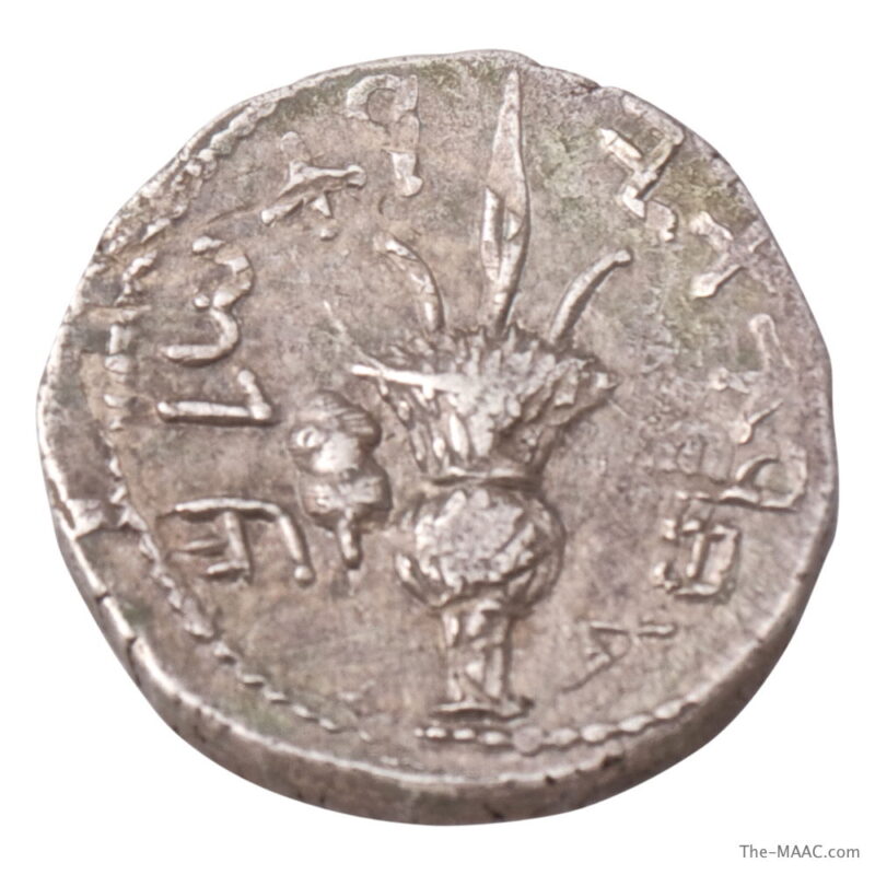 Bar Kohba Revolt Silver Sela - Image 2