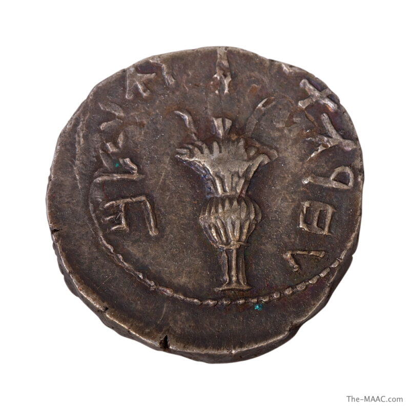 Bar Kokhba Revolt Coin - Image 2