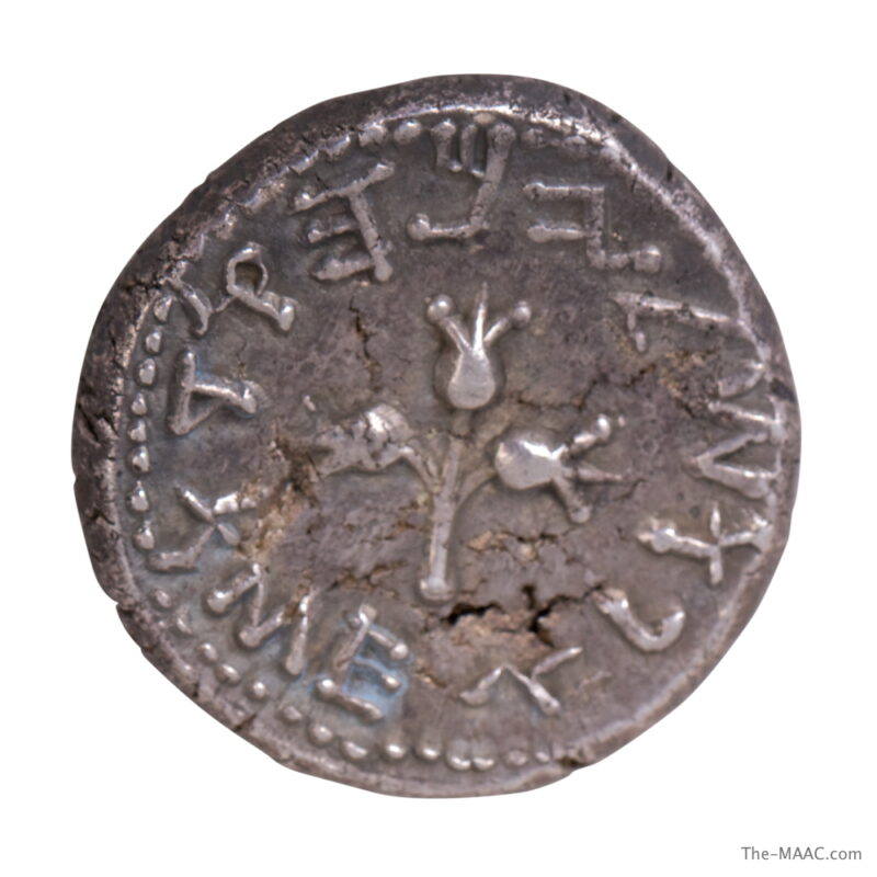 Jewish War AR Shekel - Image 2