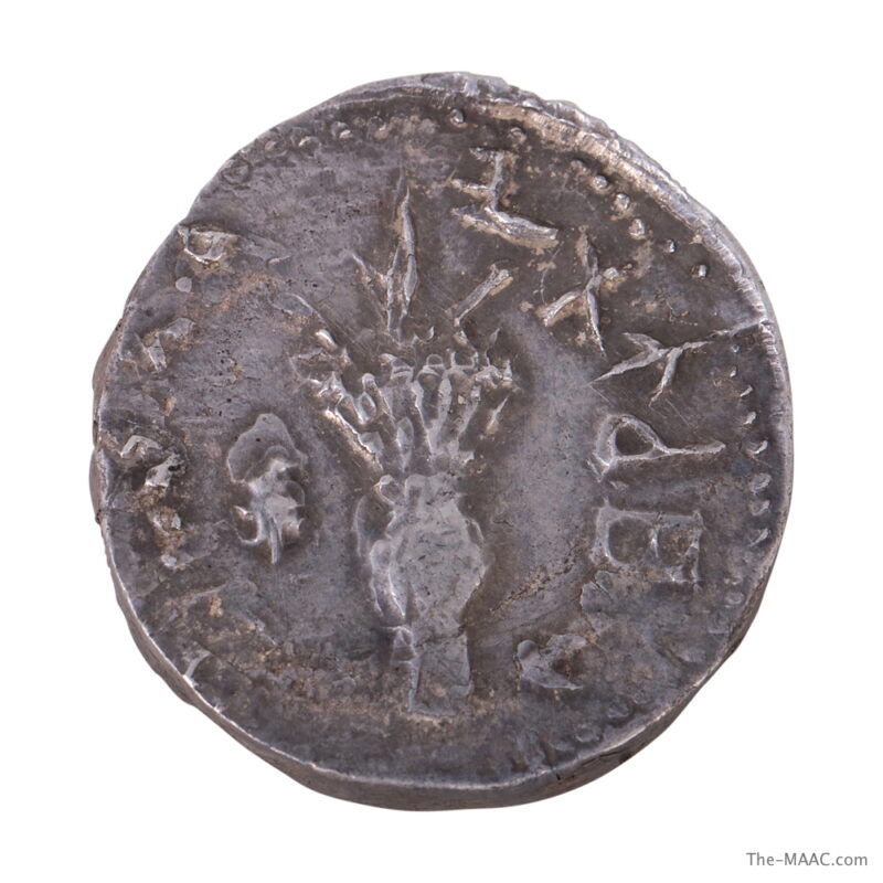 Bar Kokhba Revolt Coin - Image 2