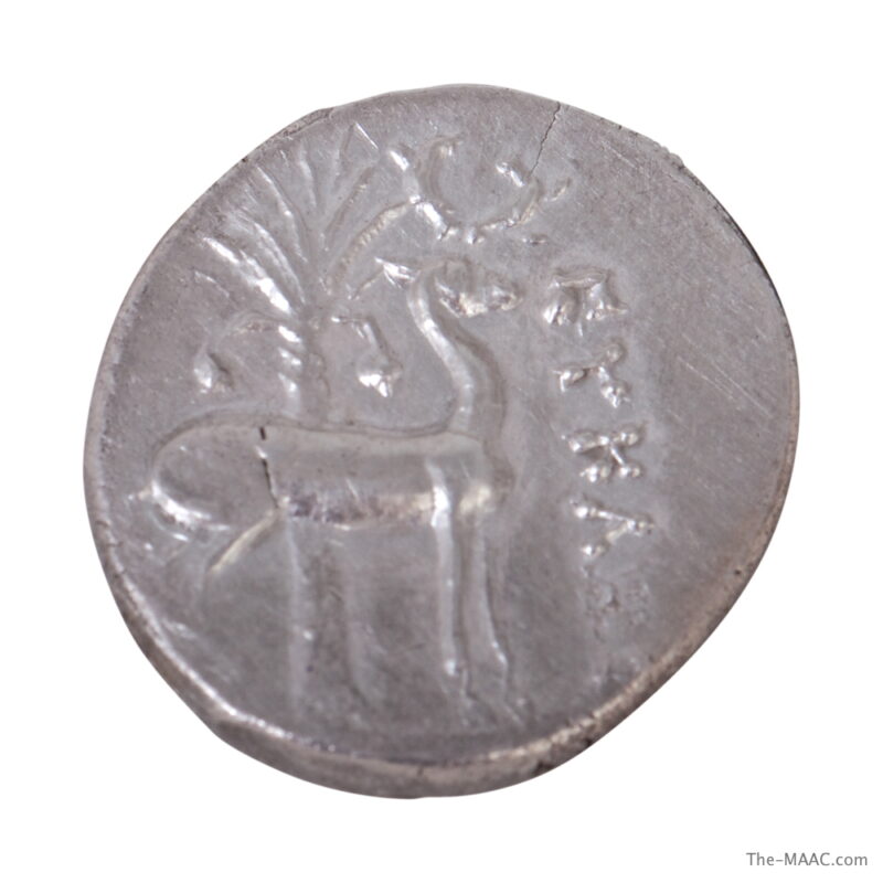 Ephesos, Ionia Coin - Image 2