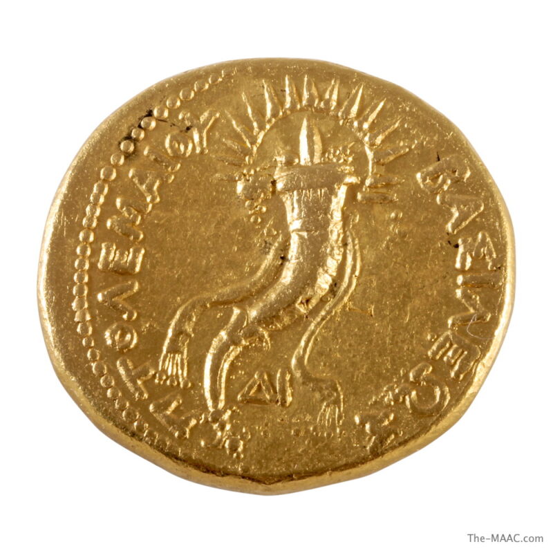 Gold Octadrachm Ptolemy III - Image 2