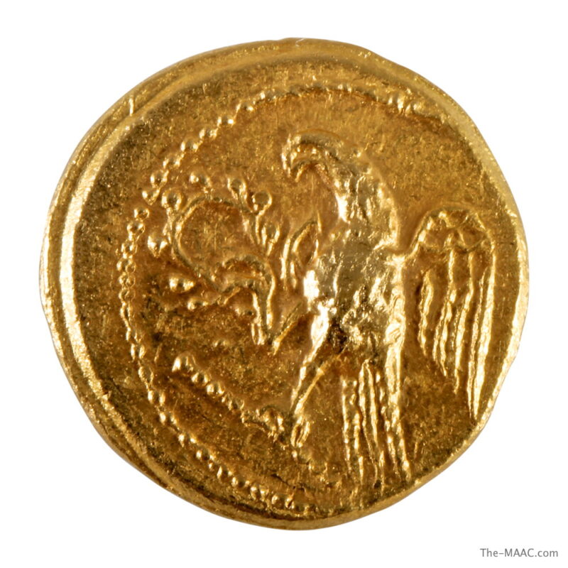 Scythia Gold Coin - Image 2