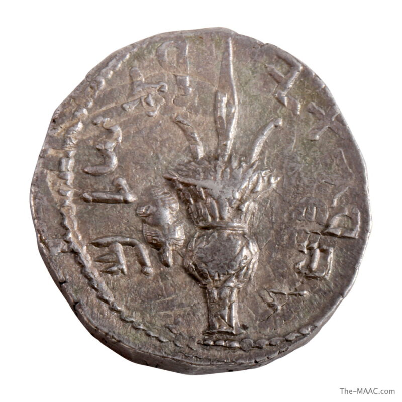 Bar Kokhba Revolt Silver Sela - Image 2