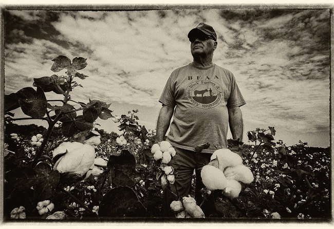 African-American Farmer - Photographer: Shoun A. Hill - MAAC on the Map